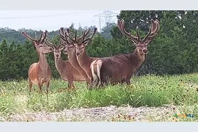 124 Old Mission Road, Kempner, TX 76539 - Photo 34