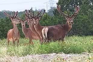124 OLD Msn Rd, Kempner, TX 76539 - Photo 34