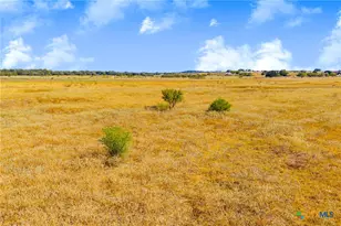 Tbd 50 Acres Pfullman Rd, Seguin, TX 78155 - Photo 14