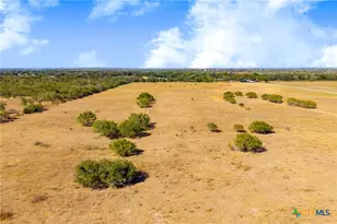 Tbd 50 Acres Pfullman Rd, Seguin, TX 78155 - Photo 20