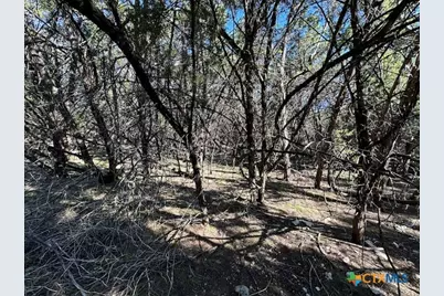 1031 Parton and 151 Reeves Road, Canyon Lake, TX 78133 - Photo 20