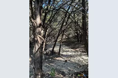 1031 Parton and 151 Reeves Road, Canyon Lake, TX 78133 - Photo 22