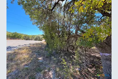 1031 Parton and 151 Reeves Road, Canyon Lake, TX 78133 - Photo 20