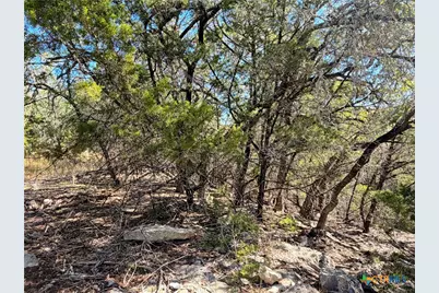 1031 Parton and 151 Reeves Road, Canyon Lake, TX 78133 - Photo 8