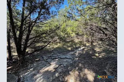 1031 Parton and 151 Reeves Road, Canyon Lake, TX 78133 - Photo 22