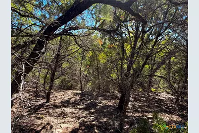 1031 Parton and 151 Reeves Road, Canyon Lake, TX 78133 - Photo 10