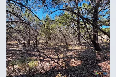 1031 Parton and 151 Reeves Road, Canyon Lake, TX 78133 - Photo 18