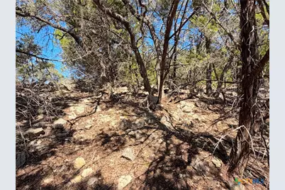 1031 Parton and 151 Reeves Road, Canyon Lake, TX 78133 - Photo 16