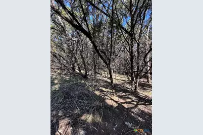 1031 Parton and 151 Reeves Road, Canyon Lake, TX 78133 - Photo 24