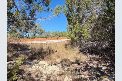 1031 Parton and 151 Reeves Road, Canyon Lake, TX 78133 - Photo 12
