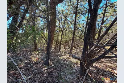 1031 Parton and 151 Reeves Road, Canyon Lake, TX 78133 - Photo 16