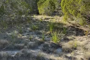 530 Lost Valley Rd, Dripping Springs, TX 78620 - Photo 1