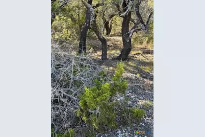 530 Lost Valley Road, Dripping Springs, TX 78620 - Photo 10