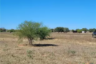 226 Fm 1107, Stockdale, TX 78160 - Photo 14