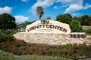 24314 Downhill Lie, San Antonio, TX 78261 - Photo 48