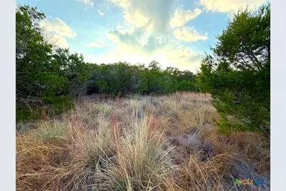 100 Acres N Cranes Mill Rd., Canyon Lake, TX 78133 - Photo 14