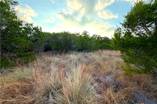 100 Acres N Cranes Mill Rd, Canyon Lake, TX 78133 - Photo 14