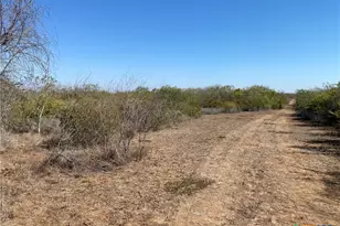 00 Cr 3081, Orange Grove, TX 78372 - Photo 6