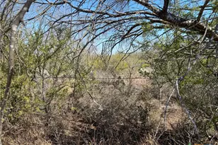 00 Cr 3081, Orange Grove, TX 78372 - Photo 2