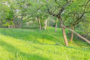 2810 Bridlewood Ranches Dr, San Marcos, TX 78666 - Photo 44