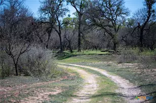 25 Acres Private Road 1789, Bend, TX 77418 - Photo 24