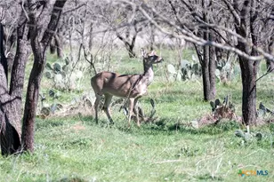 25 Acres Private Road 1789, Bend, TX 77418 - Photo 4