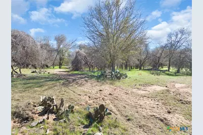 25 Acres Private Road 1789, Bend, TX 77418 - Photo 18