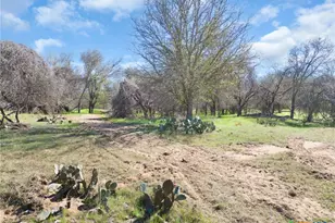 25 Acres Private Road 1789, Bend, TX 77418 - Photo 18