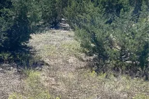 101 Cedar Hill Dr, Gatesville, TX 76528 - Photo 1