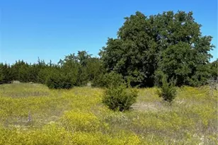 102 Cedar Bluff Loop, Gatesville, TX 76528 - Photo 1