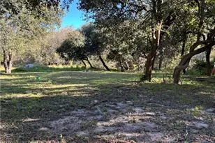 2168 River Oaks, Skidmore, TX 78164 - Photo 8