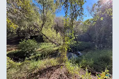 2168 River Oaks, Skidmore, TX 78164 - Photo 12