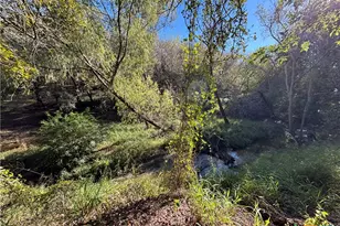 2168 River Oaks, Skidmore, TX 78164 - Photo 12