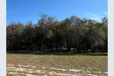 2168 River Oaks, Skidmore, TX 78164 - Photo 10