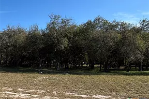 2168 River Oaks, Skidmore, TX 78164 - Photo 10