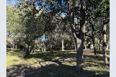 2168 River Oaks, Skidmore, TX 78164 - Photo 1