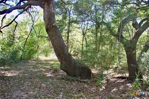 Tbd US 90, Schulenburg, TX 78956 - Photo 22