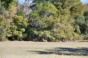 Tbd US 90, Schulenburg, TX 78956 - Photo 36