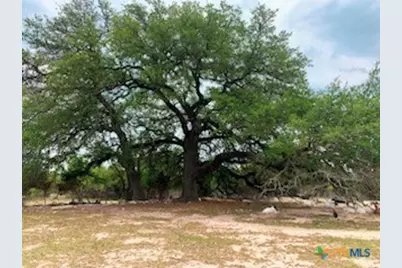 880 County Road 3100, Kempner, TX 76539 - Photo 24