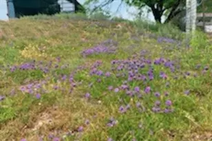 880 County Rd 3100, Kempner, TX 76539 - Photo 30