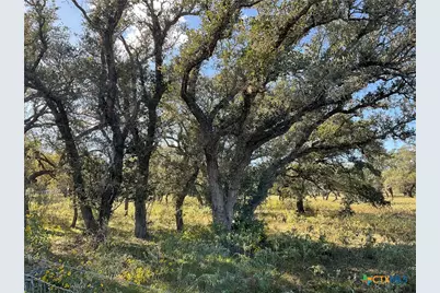 389 Hausmann Road, Cuero, TX 77954 - Photo 2