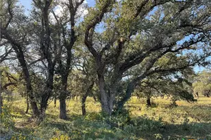 389 Hausmann Rd, Cuero, TX 77954 - Photo 2