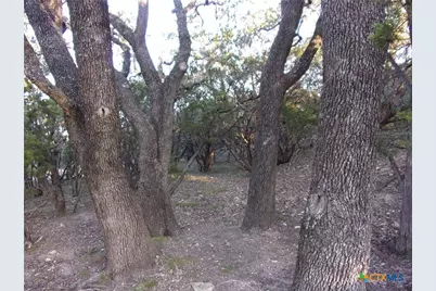 361/395 Mountain Wood, Canyon Lake, TX 78133 - Photo 4