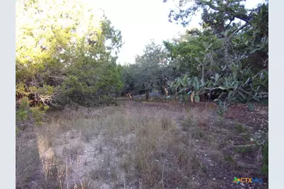 361/395 Mountain Wood, Canyon Lake, TX 78133 - Photo 8