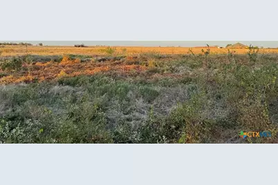 2520 W Amity Road, Salado, TX 76571 - Photo 4