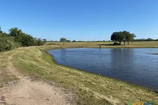 8438 8440 Hwy 183, Goliad, TX 77963 - Photo 6