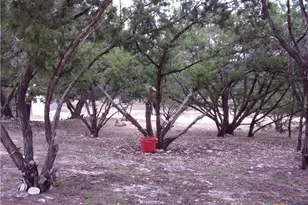 2471 Rolling River View, Spring Branch, TX 78070 - Photo 20