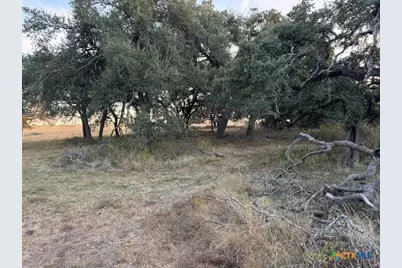 0 Fm-1105, Georgetown, TX 78626 - Photo 4