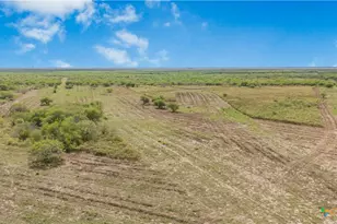 000 Fm 239, Tivoli, TX 77990 - Photo 18