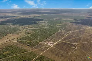 000 Fm 239, Tivoli, TX 77990 - Photo 10